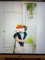 -小熊维尼高端孕婴摄影(清湖金銮店)