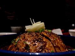 -北京老铺烤鸭(老城根店)