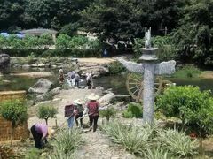 -广州市石门国家森林公园