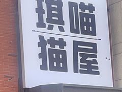 -琪喵猫屋·撸猫猫咖·猫舍