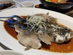 -玫瑰厅上海菜(兴国路店)