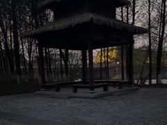 -苏州太湖国家湿地公园