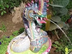 -呀路古热带植物园