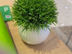 -mango tree芒果树泰国餐厅(青岛万象城店)