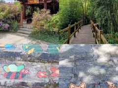 -广州白江湖森林公园