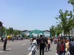 -荷兰花海