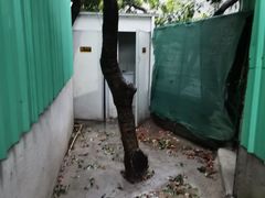 -星鹿农家乐·烤鸡·柴火鸡·团建