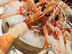 -普朗姆生蚝吧(原建国路店)