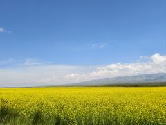 -青海湖国家重点风景名胜区