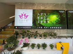 点击看大图 -阅年轻·AI家庭健康体质调理
