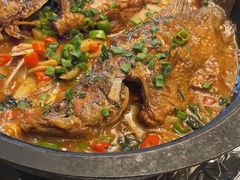 -廊坊固安福朋喜来登酒店