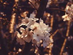 -永乐路-路侧停车场