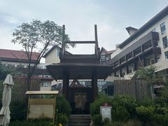 -齐河孔雀王温泉酒店·金孔雀自助百汇