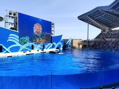 -上海海昌海洋公园