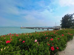 -深圳湾公园(南山区)