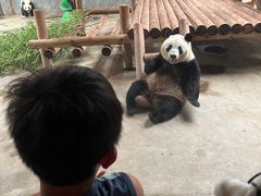 -西安秦岭野生动物园