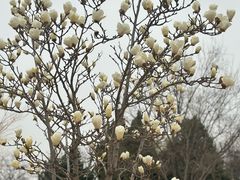 -太阳宫公园