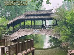 -合肥滨湖国家森林公园