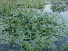 -永定河休闲森林公园