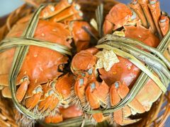 -蟹村草堂·苏式园林人文农家·大闸蟹