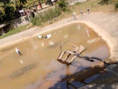 -泉州海丝野生动物世界