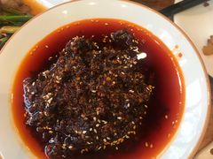 -院8里·少城记忆老川菜(宽窄巷子店)