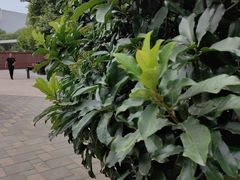 -唐城墙遗址公园