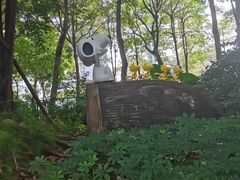 -史努比缤纷世界
