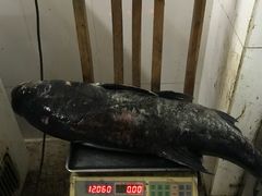 -溪悦渔庄(九龙湖店)