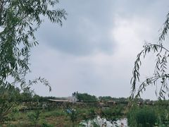 -同銮特种养殖场·龙虾垂钓