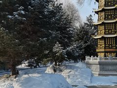 -哈尔滨极乐寺