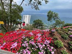 -仙岛湖旅游风景区