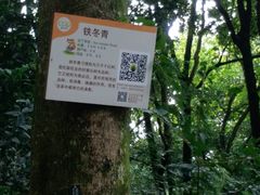 -南宁良凤江国家森林公园