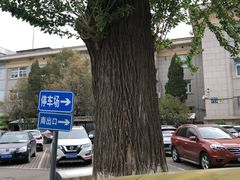 -北京积水潭医院-停车场