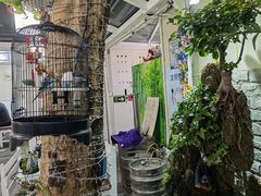 -丽江庭院之丽江往事(安定门店)