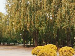 -长春公园(普阳街道)