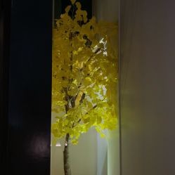 -美壹生诊所皮肤管理中心·海菲秀&Legacy美白舱