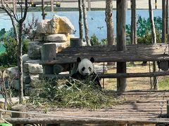 -西霞口神雕山野生动物世界