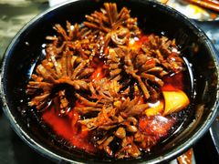 -小王少龙火锅(沙南街店)