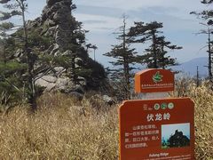 -朱雀国家森林公园