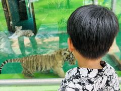 -五龙山野生动物王国