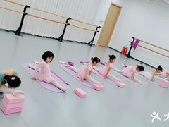-中央芭蕾舞团·中芭艺蕾(酒仙桥明星校区)