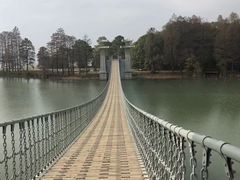 -东湖落雁景区