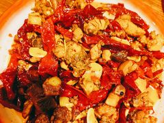 -柴窝堡22号辣子鸡·传承新疆菜