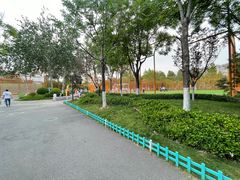 -张店儿童公园
