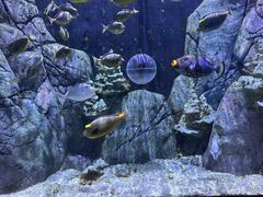 -成都浩海立方海洋公园