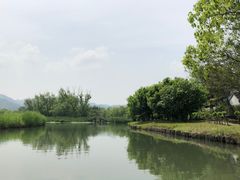 -西溪国家湿地公园