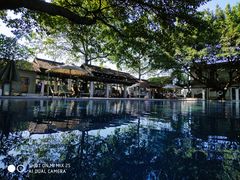-喜洲吧·江畔老船厂·庭院餐厅(喜临院店)