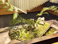 -蘇锦宴·淮扬菜烤鸭·小院(三元桥霄云路店)