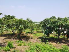 -嬉子湖生态旅游区